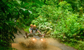 Jungle & Maleku Single ATV