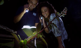 Nocturnal Experience Night walk