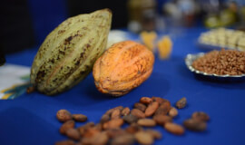 Chocolate tour Don Juan