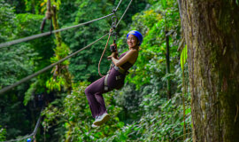 Canopy Tour With Tarzan Swing by Ecoglide