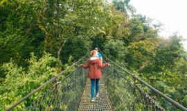 ARENAL HANGING BRIDGES GUIDED HIKE