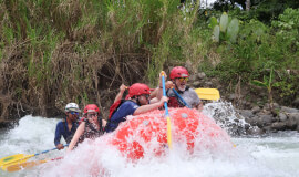 Jungle Ride & River Rush ATV Single
