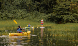 KAYAKING AT ARENAL LAKE