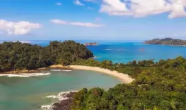 Manuel Antonio Park Nature Walks