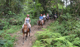Horseback Riding to La Fortuna Waterfall