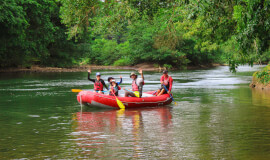 RIVER BOAT SAFARI AT SARAPIQUÍ RIVER FROM SAN JOSÉ