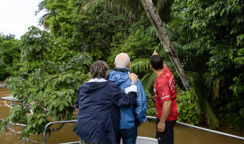 Caño Negro River Boat Safari