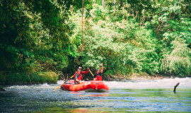 Adventure Connections between San José  and Monteverde with Jungle Safari Float (Sarapiquí)