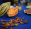Chocolate tour Don Juan