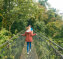 ARENAL HANGING BRIDGES GUIDED HIKE