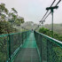 Hanging Bridges Walk - Monteverde
