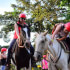 Horseback Riding to La Fortuna Waterfall