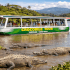 Crocodile Tour - Jacó
