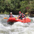 Sarapiquí Rafting Class 2 and 3 from La Fortuna