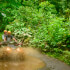 Jungle & Maleku Double ATV