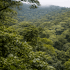 Silver Package - Hanging Bridges & Sloth Tour - Selvatura