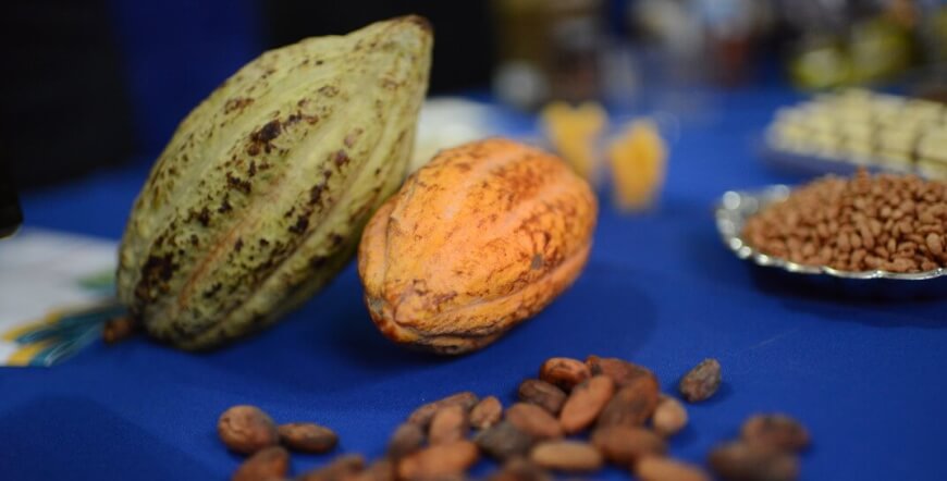 Chocolate tour Don Juan