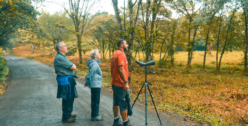 BIRDWATCHING AROUND THE LAKE