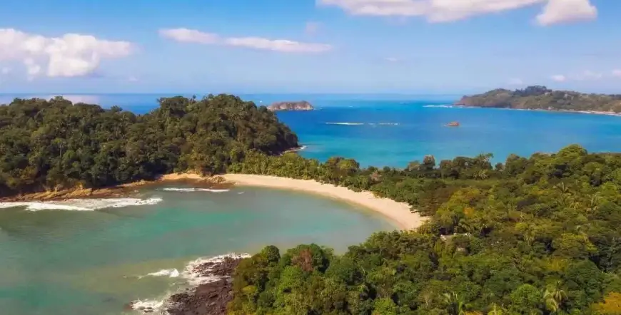 Manuel Antonio Park Nature Walks