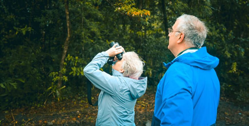 BIRDWATCHING AROUND THE LAKE