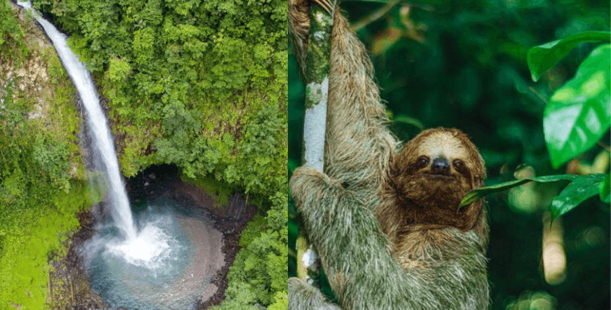 Combo Sloth Hike & La Fortuna Waterfall Guided Hike