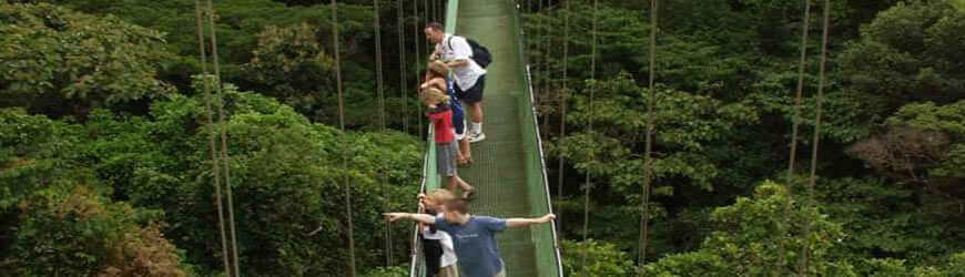 Hanging Bridges Walk - Monteverde