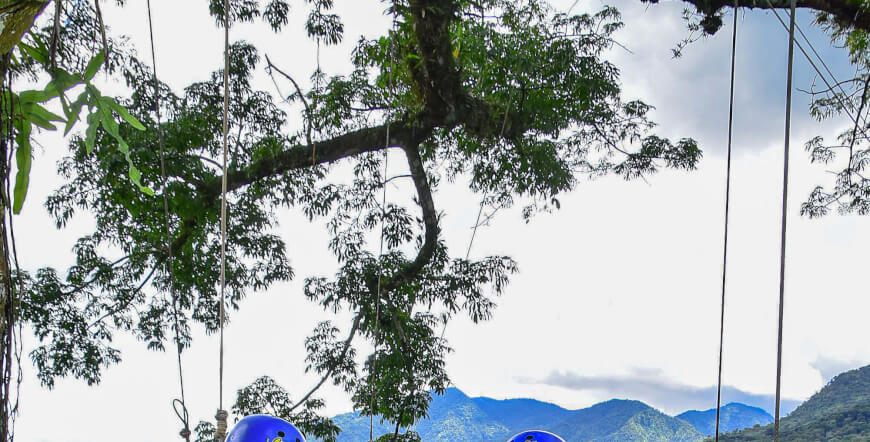 Canopy Tour With Tarzan Swing by Ecoglide