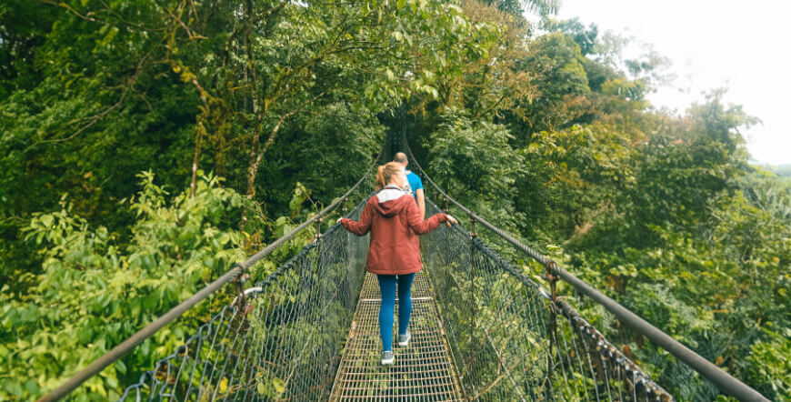 Mini Combo Hanging Bridges + La Fortuna Waterfall