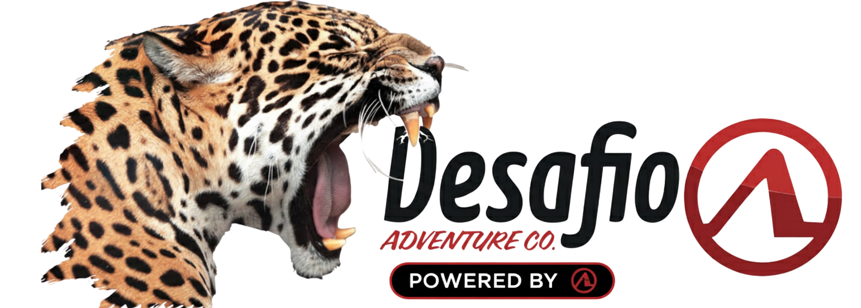 Desafio Adventure Company